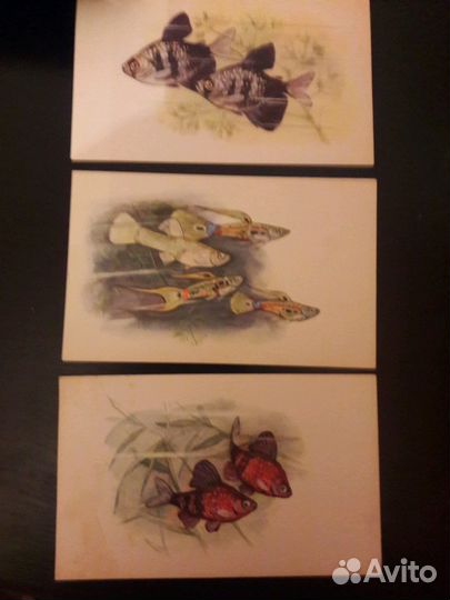 Продам открытки