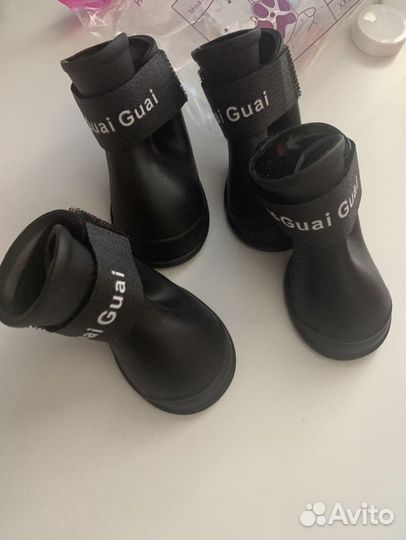 Новые сапожки для собак