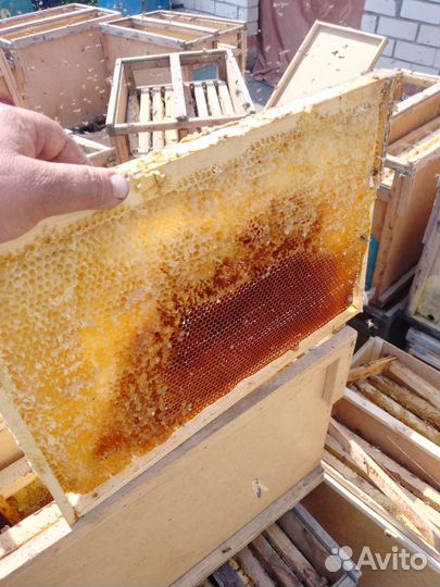 Рамки с сушью