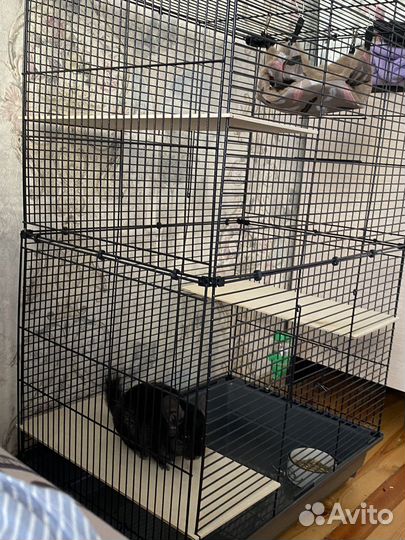 Коетка большая для грызунов