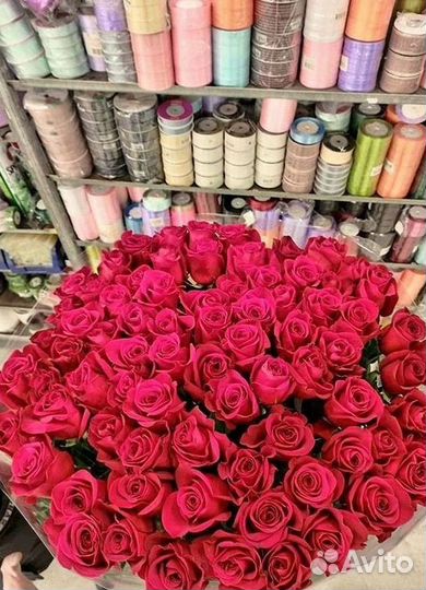 101 роза цветы букеты доставка 25 51 101 роза