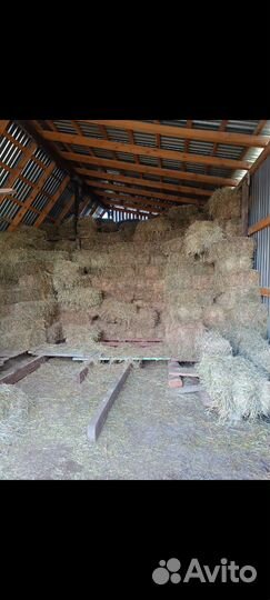 Сено в тюках