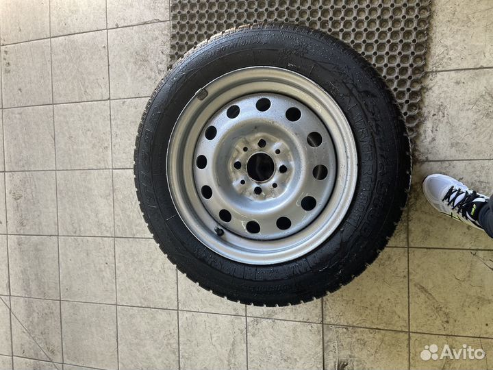 Tigar Sigura Stud 175/65 R14