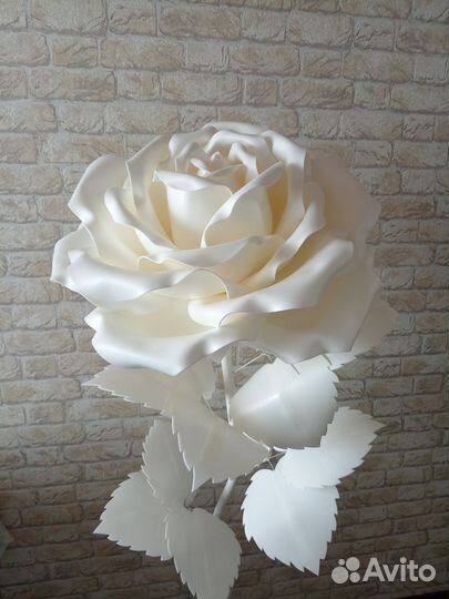 Цветы ростовые