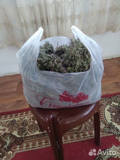Лекарственные травы