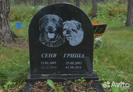 Памятник животному (собаке, кошке) на могилу