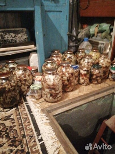 Грибы, соления