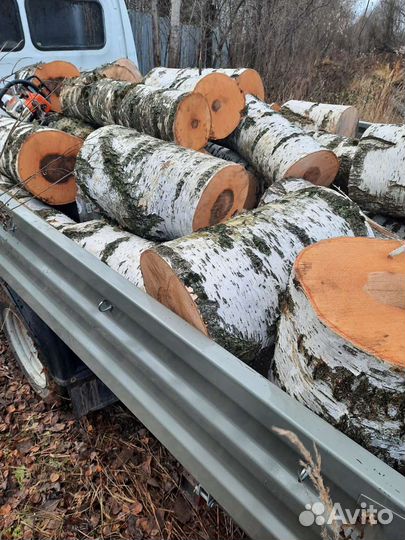 Спил деревьев.Расчистка участка