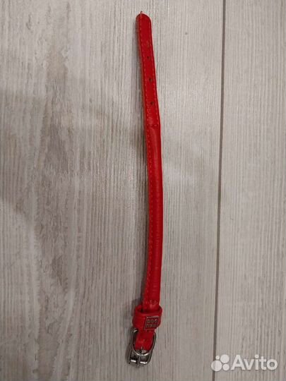 Ошейник для маленькой собаки