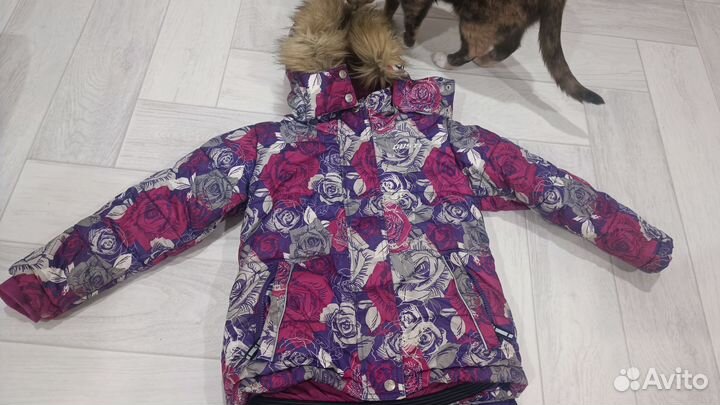 Куртка зимняя gusti 116