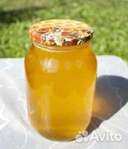 Мед 2023г разнотравье дягилевый соты подмор пыльца