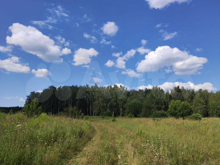 Участок 64,1 сот. (СНТ, ДНП)