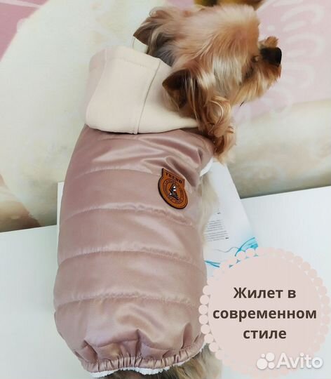 Жилетка для собак