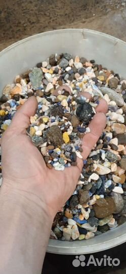 Грунт и пускатель