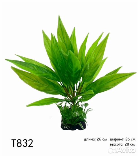 Растериние для аквариума