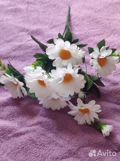 Хризантема букет