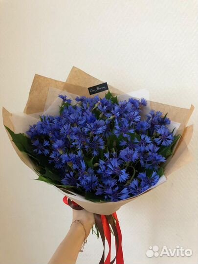 Полевой букет Васильков