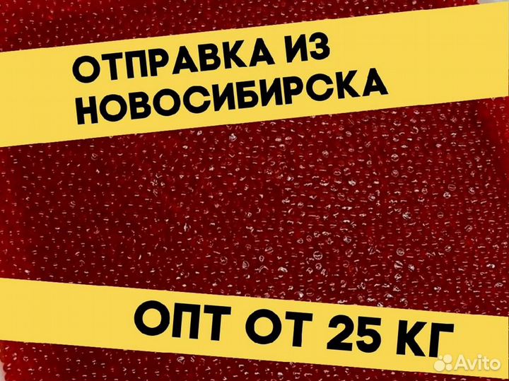 Красная икра нерки, улов 2023 года