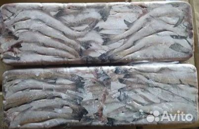 Минтай. Филе минтая. Доставка