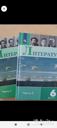 Учебники литература 5,6,7,8,9 класс