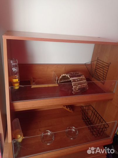 Витрина для морских свинок