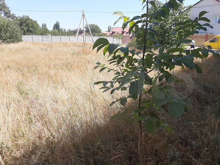 Участок 6 сот. (ИЖС)