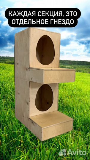 Гнездо для кур