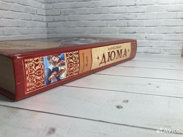 Книга «Сальтеадор. Жорж»