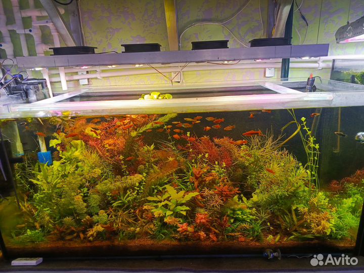 Светильник для аквариума