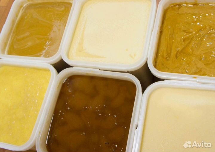 2024 Мёд натуральный с Алтая оптом