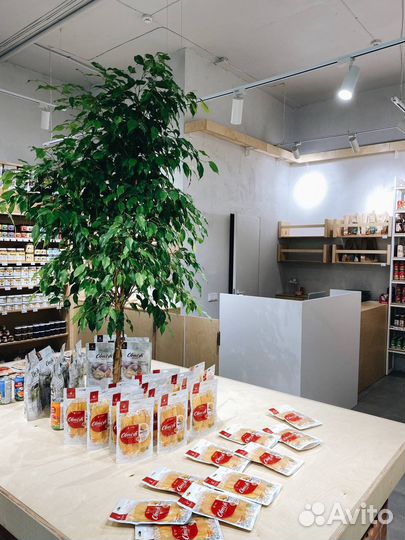 Здоровое питание