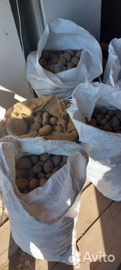 Картофель домашний мелкий