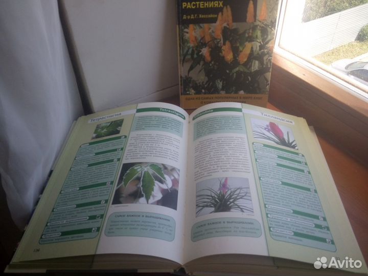 Популярные книги о комнатных растениях