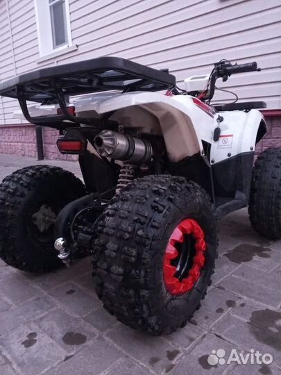 Авантис хантер