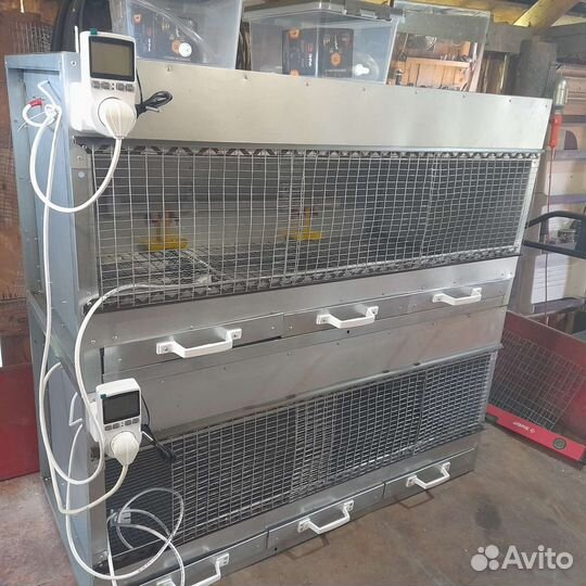 Брудер для цыплят, перепелов