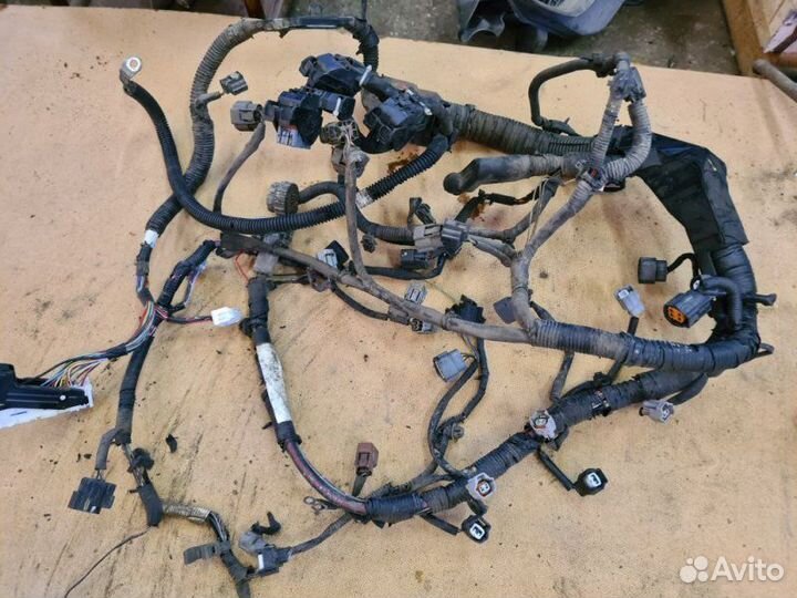 Проводка двс Nissan Murano Z51 VQ35DE 2012