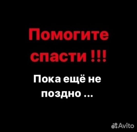 Малышок ищет дом