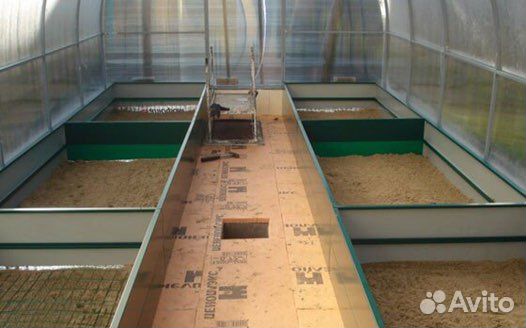 Грядки окрашенные