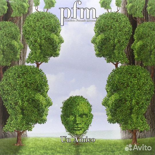 P.F.M.: Un Amico vinyl (1 LP)