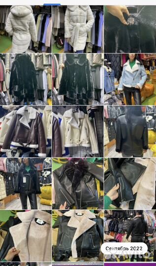 Посредник байер тяк, садовод, южные ворота