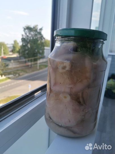 Продам соленые грузди