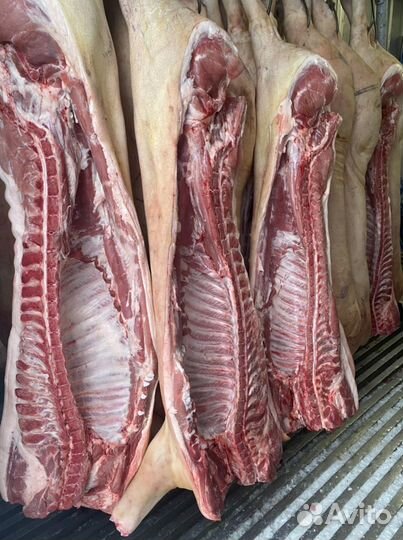 Мясо свинины полтуши,туша,четверть с доставкой