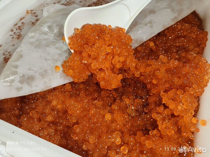 Красная икра Горбуши и Кеты