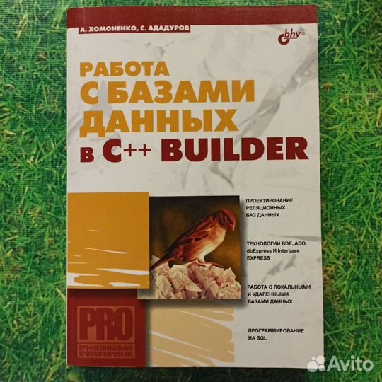 Книга Работа с базами данных в C++ Builder