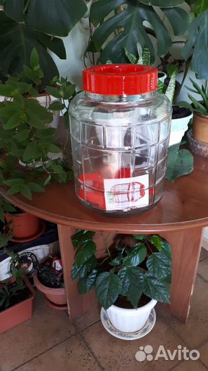 Банки под вино,бруснику,соления