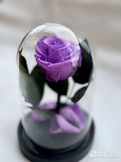 Роза в колбе