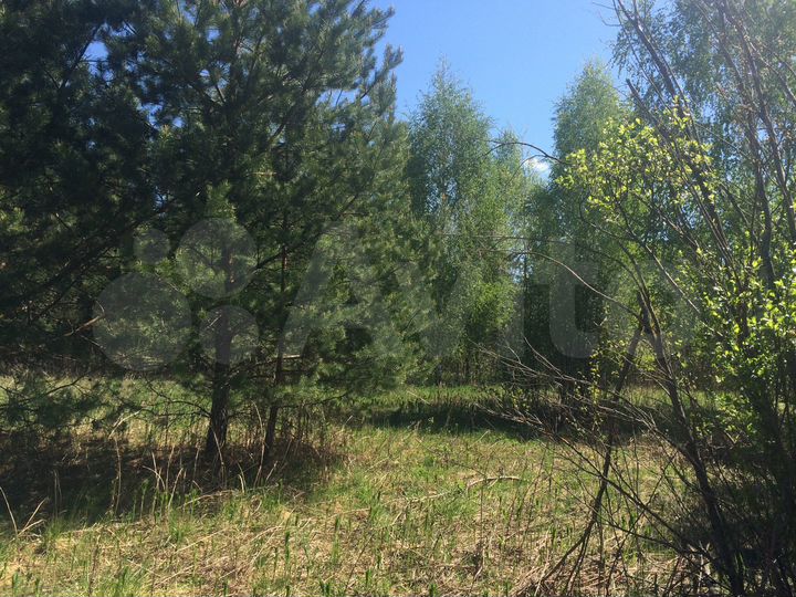 Участок 10 сот. (СНТ, ДНП)