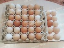 Яйца домашние с доставкой