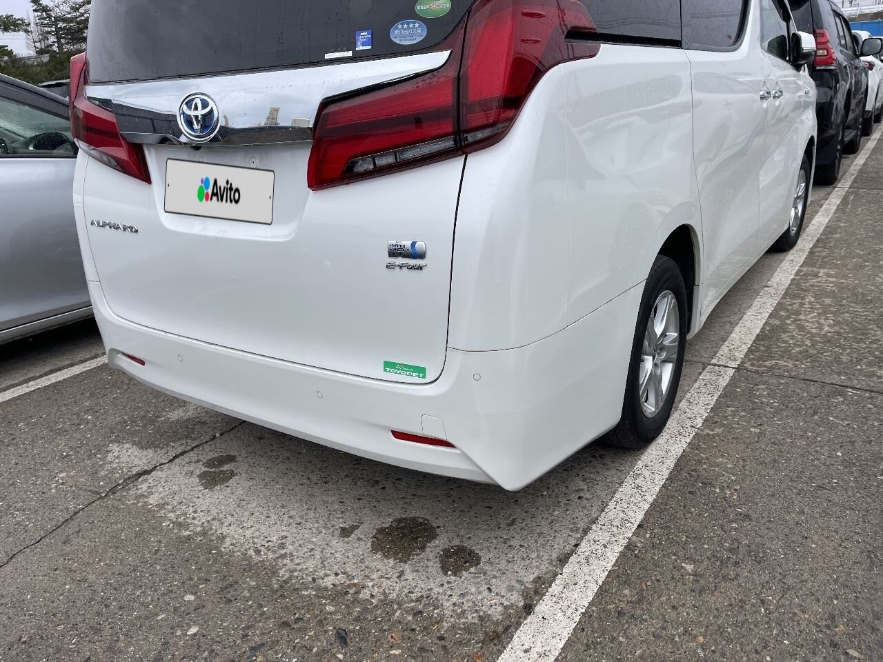 Toyota Alphard: фото владельца