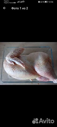 Мясо домашнего бройлера, перепелов, яйцо